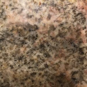 Meet your Posher, Sean